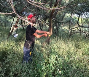 Soil carbon and biodiversity inventory
